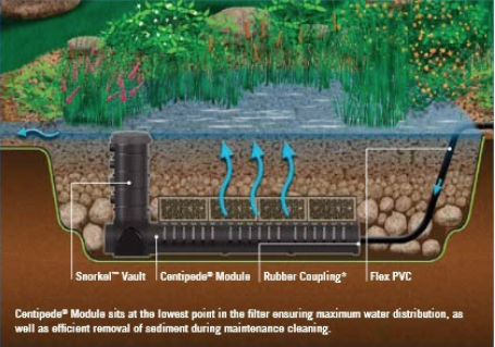 wetland filtration