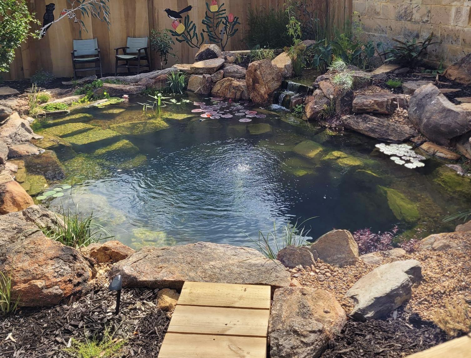 swimming pond